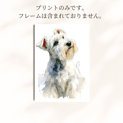 ミニチュアシュナウザー 水彩アートポスター｜ホワイト – Snow Beard