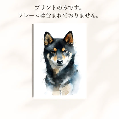 柴犬 水彩アートポスター｜黒柴正面 – Still Moment
